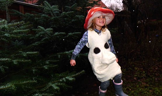 Pilz in Ritter Rost (Foto: U.Tuschy)