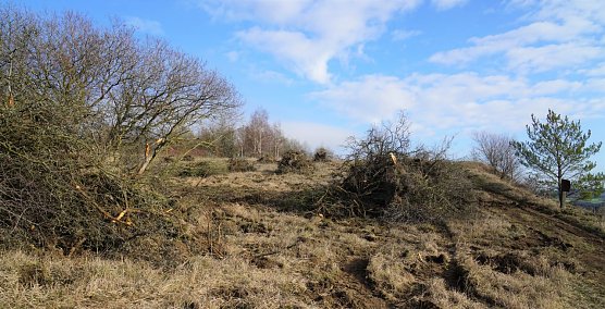 B&uuml;sche und Hecken wurden entfernt.  (Foto: Susanne Schedwill)