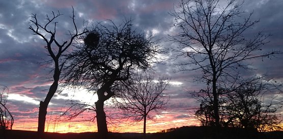 wetter (Foto: C.Burkert) wetter (Foto: C.Burkert)