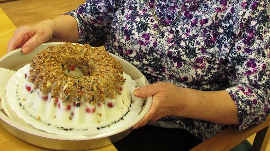 vogelkuchen (Foto: L.Schubert) vogelkuchen (Foto: L.Schubert)