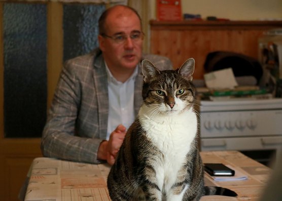Landrat Matthias Jendricke zu Besuch im "Katzenhaus" (Foto: Nicole Mattern) Landrat Matthias Jendricke zu Besuch im "Katzenhaus" (Foto: Nicole Mattern)