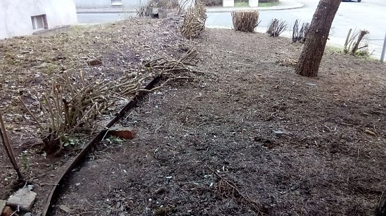 Buschwerk entfernt (Foto: A. Adlerauge)