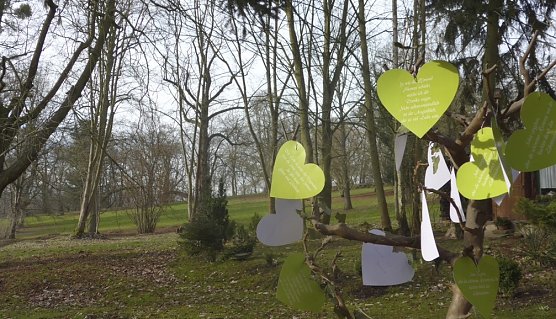 hohenrode (Foto: Gunnar Haase)