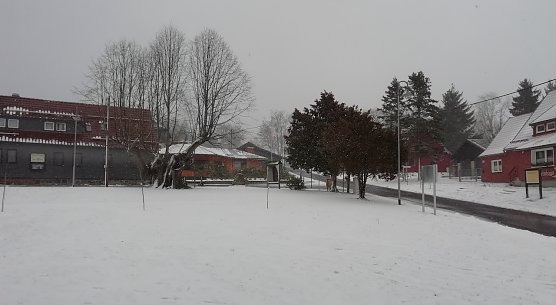 Schnee in Sophienhof (Foto: W.J&ouml;rgens)