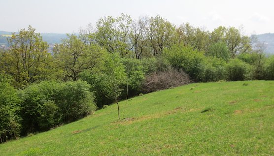 Landschaftspflege (Foto: S.Schulze) Landschaftspflege (Foto: S.Schulze)