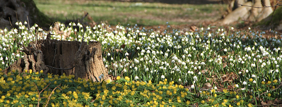 Wetterbild (Foto: Angelo Glashagel)
