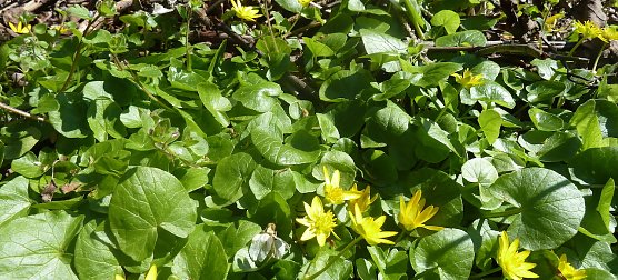 Wanderung (Foto: A.Apel)