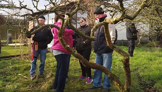 Baumschnitt (Foto: Kleing&auml;rrnerverband NDH)