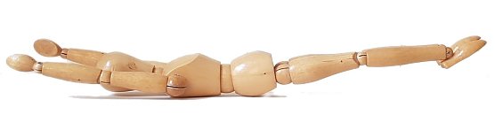 Der Maik&auml;fer (Foto: Martin R&auml;cke)