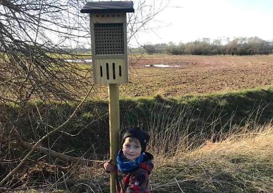 Bienenhotel (Foto: B.Juch)