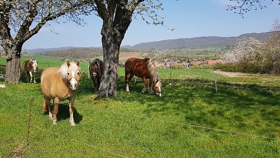 Idylle pur (Foto: C. Wilhelm)