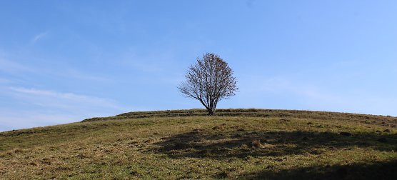 Harz (Foto: oas)