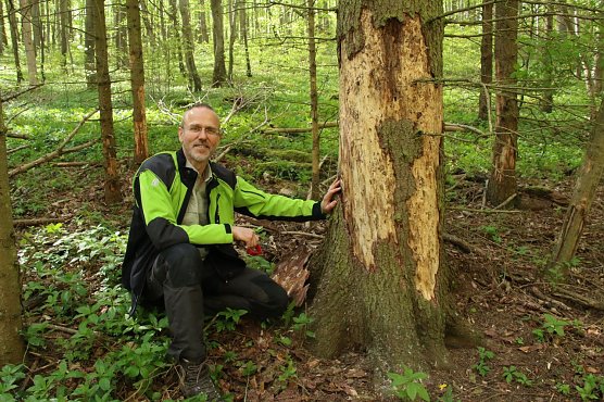 Forstamtsleiter Gerd Thomsen (Foto: Angelo Glashagel) Forstamtsleiter Gerd Thomsen (Foto: Angelo Glashagel)