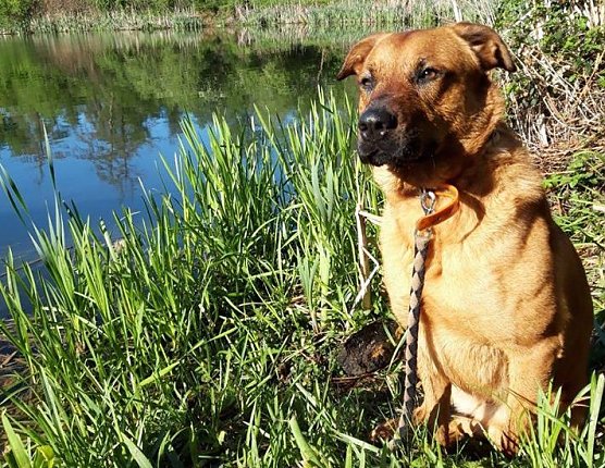 Tier der Woche (Foto: THN)