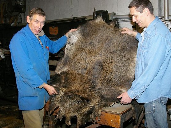 Tierische Reqisite (Foto: I. Kühn) Tierische Reqisite (Foto: I. Kühn)