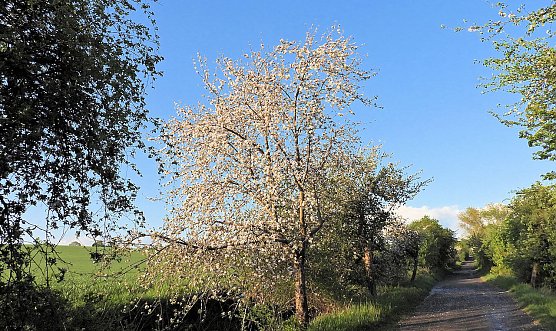 Windlücke (Foto: P.Blei) Windlücke (Foto: P.Blei)