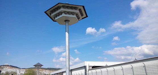 Schwalbennester (Foto: Kurt Frank)