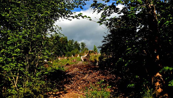 Windlücke (Foto: P.Blei) Windlücke (Foto: P.Blei)