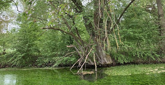 Wetter (Foto: oas) Wetter (Foto: oas)