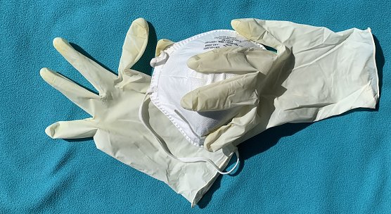 Corona (Foto: oas) Corona (Foto: oas)