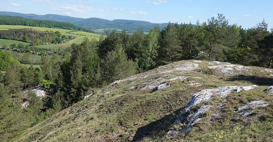 Landschaftspflegearbeiten im S&uuml;dharz (Foto: Sarah Backhaus)