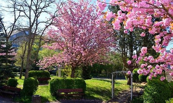 DRK-Pflegeheim Nordhausen (Foto: D.Apel)
