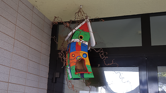 Neue Bewohner bei den Wipperspatzen (Foto: Ralf Linsel) Neue Bewohner bei den Wipperspatzen (Foto: Ralf Linsel)