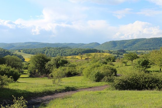 Karstlandschaft am s&uuml;dlichen Harzrand (Foto: A. Richter)