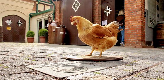 Die Echte Nordh&auml;user Traditionsbrennerei kann ab sofort auch digital erkundet werden (Foto: agl)