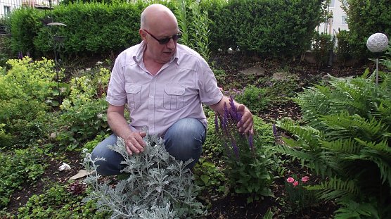 Bernd Telemann auf der Hang-Rabatte hinter seiner Wohnung in der Weberstra&szlig;e 25. (Foto: Kurt Frank)