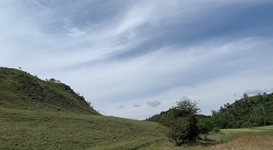 Am Stausee Kelbra (Foto: oas) Am Stausee Kelbra (Foto: oas)