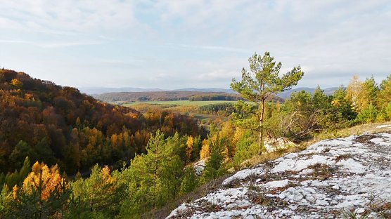 Ein freiwilliges Jahr in der Natur - Interessenten k&ouml;nnen sich jetzt beim Naturpark S&uuml;dharz bewerben (Foto: P. Schneller)