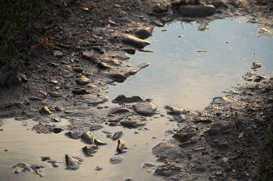 Wetterbild (Foto: agl) Wetterbild (Foto: agl)