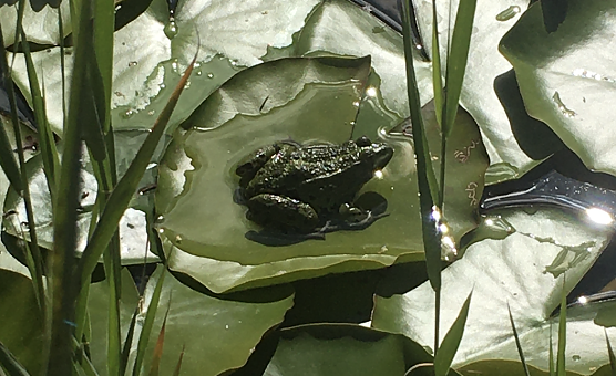 Unser Wetterbild kommt heute von B&auml;rbel Biermann, die diesen sch&ouml;nen Schnappschuss bei einem Besuch im Unstrut-Hainich-Kreis gemacht hat (Foto: B&auml;rbel Biermann)