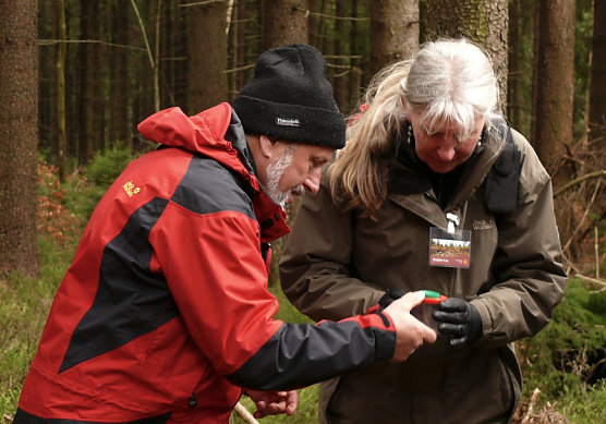 Im Nationalpark Harz erfreuen sich die F&uuml;hrungen &uuml;ber regen Zuspruch (Foto: Katja John, Nationalpark Harz)