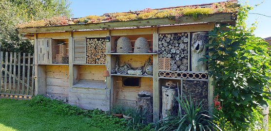 Die besten Insektenhotels wurden pr&auml;miert (Foto: S.Schulze)