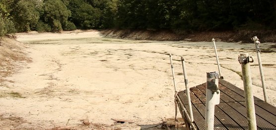 Was passiert im einst so sch&ouml;nen Teichtal bei Hainrode? (Foto: agl)