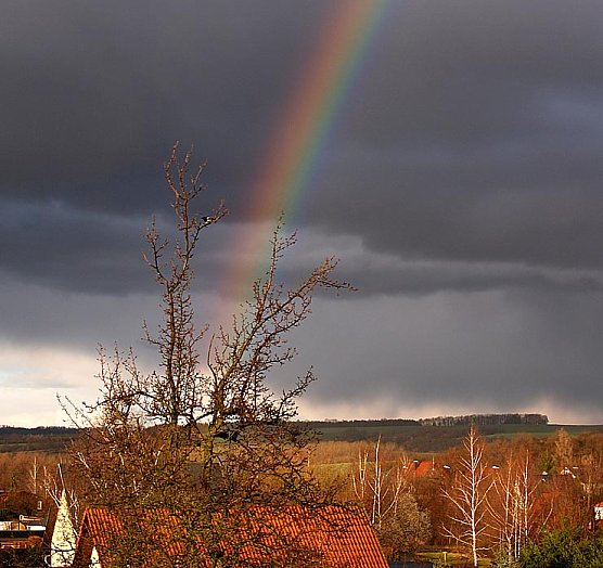 Farbenspiel (Foto: nnz)