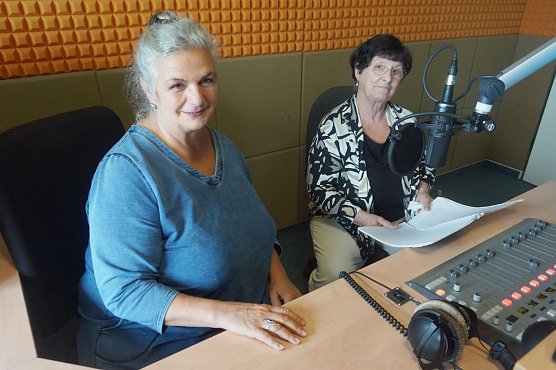 Silberdisteln bei ENNO (Foto: S.Witzel)