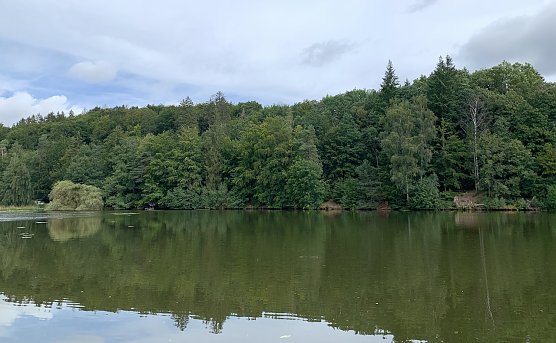 Teich in Bad Sachsa (Foto: oas) Teich in Bad Sachsa (Foto: oas)