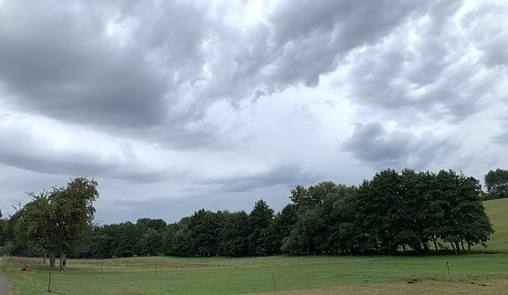 Bei Limlingerode (Foto: oas) Bei Limlingerode (Foto: oas)