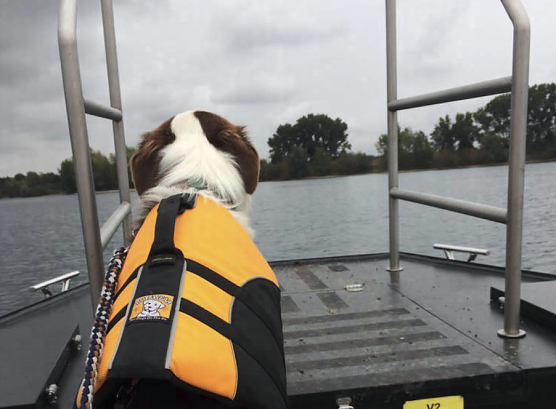 Rettungshunde und Nordh&auml;user Feuerwehr gemeinsam im Einsatz (Foto: Stadtverwaltung Nordhausen)