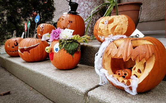 Gruseliges im Domshl&ouml;sschen (Foto: P.Suhr)
