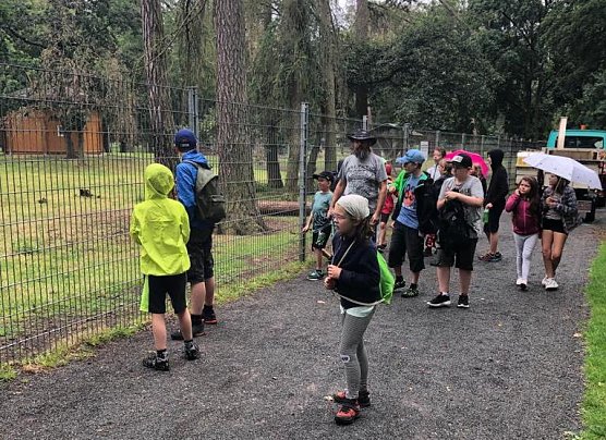 Herbstferiencamp in Harzrigi mit vielen Ausfl&uuml;gen (Foto: Horizont Verein)