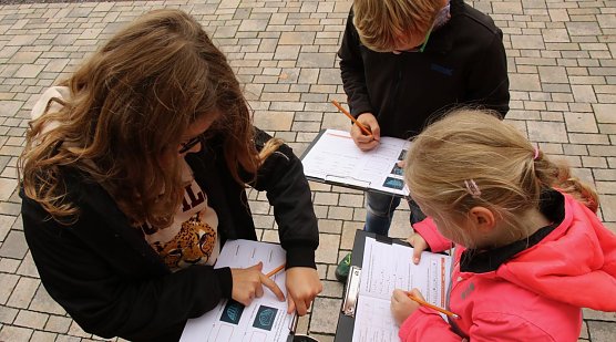 Knifflige Schlossralllye   (Foto: agl)