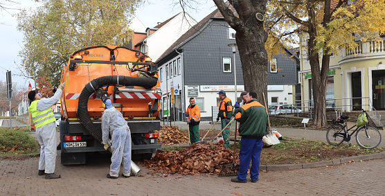 Mission Laub auf Nordhausens Stra&szlig;en (Foto: Stadtverwaltung Nordhausen)
