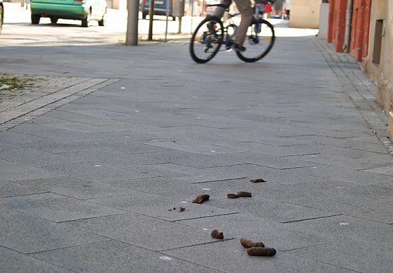 Tretmine in der Bahnhofstra&szlig;e (Foto: wirsinds)