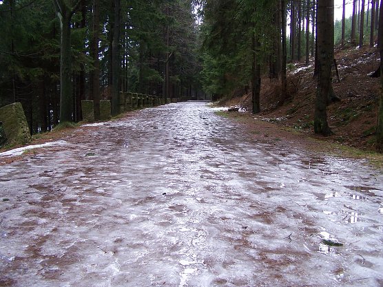 Derart vereiste Waldwege sollten Waldbesucher die n&auml;chsten Monate meiden: F&uuml;r Waldwege besteht keine R&auml;um- und Streupflicht seitens des Waldbesitzers! (Foto: Th&uuml;ringenForst, Dr. Horst Spro&szlig;mann)