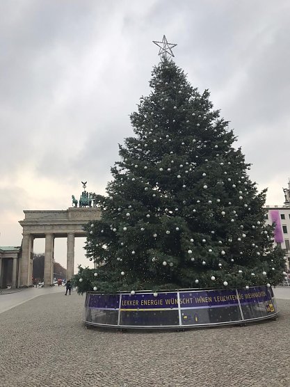 Th&uuml;ringer Colorado-Tanne vor dem Brandenburger Tor (Foto: M. Neubert )