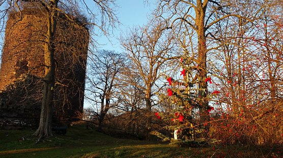 geschm&uuml;ckter Baum auf der Ebersburg (Foto: Wichtelbrigade)